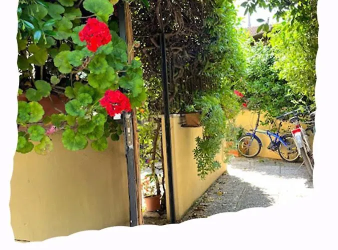 Tatil Evi Leda's *